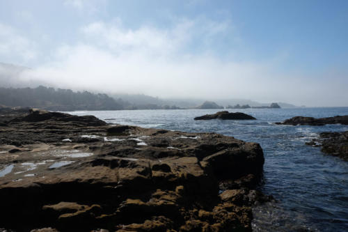 Pt_lobos2