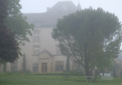 DSCF7442 morning mist