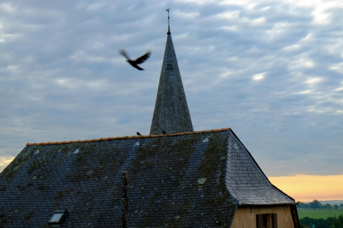 25. The birds flew all around the spire as the sun lifted the clouds.18x24. $300 framed. $250 unframed.