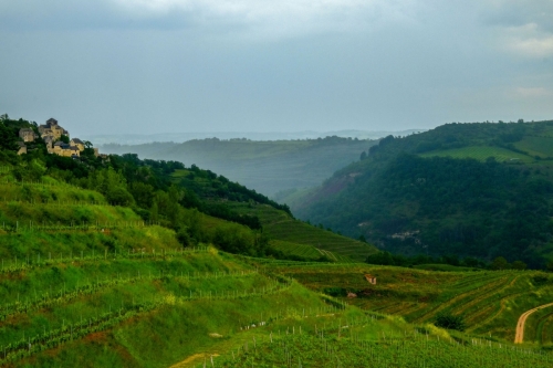 6. Vineyards near the red stone villages before a storm.24x36. $350 framed. $300 unframed.