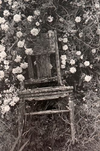 IMG 1598 kenmore lane